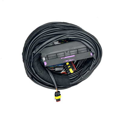 4 cablagens multipontos do Pin CNG LPG do chicote de fios 56 da injeção do ECU do cilindro auto