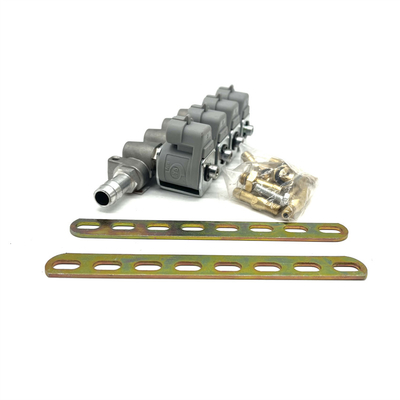Sistema da injeção do LPG CNG 2 ohms ou 3 ohms Grey Injetor Rail para Autogas