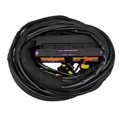 Tipo de conector múltipla para desempenho óptimo de 12 V