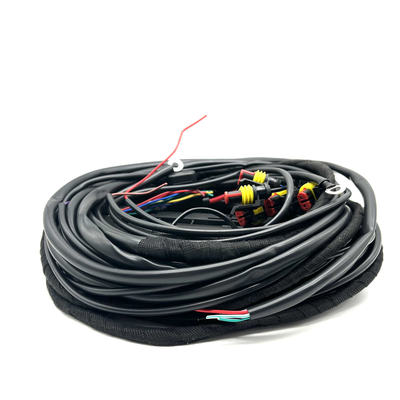 56 cablagens multipontos da conexão da injeção do chicote de fios CNG LPG do fio do Pin ECU