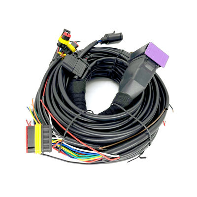 Cilindro sequencial ECU de Pin Car Wiring Harness For 4 da injeção 24 de CNG LPG