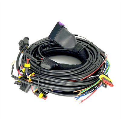 Cilindro sequencial ECU de Pin Car Wiring Harness For 4 da injeção 24 de CNG LPG