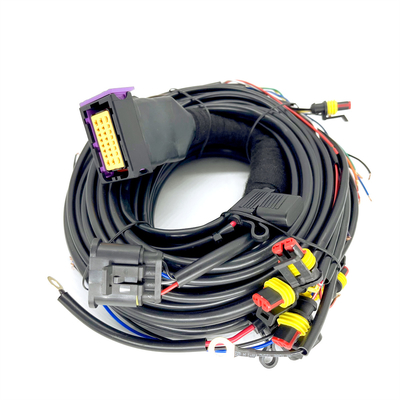 Cilindro sequencial ECU de Pin Car Wiring Harness For 4 da injeção 24 de CNG LPG