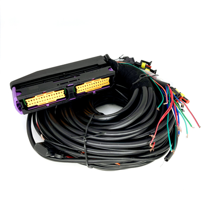 Cilindro automotivo multiponto ECU de Pin For 6 das cablagens 56 de CNG LPG
