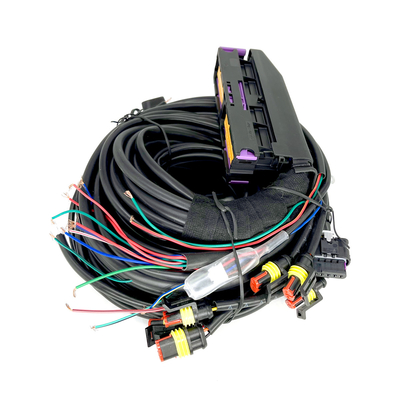 Cilindro automotivo multiponto ECU de Pin For 6 das cablagens 56 de CNG LPG
